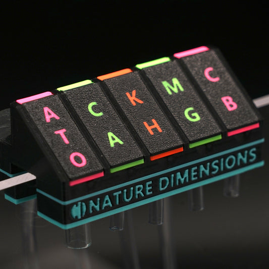 N-Neon 5-channel tubing organizer for ATO and dosing tubing