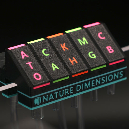 N-Neon Tubing Organizer