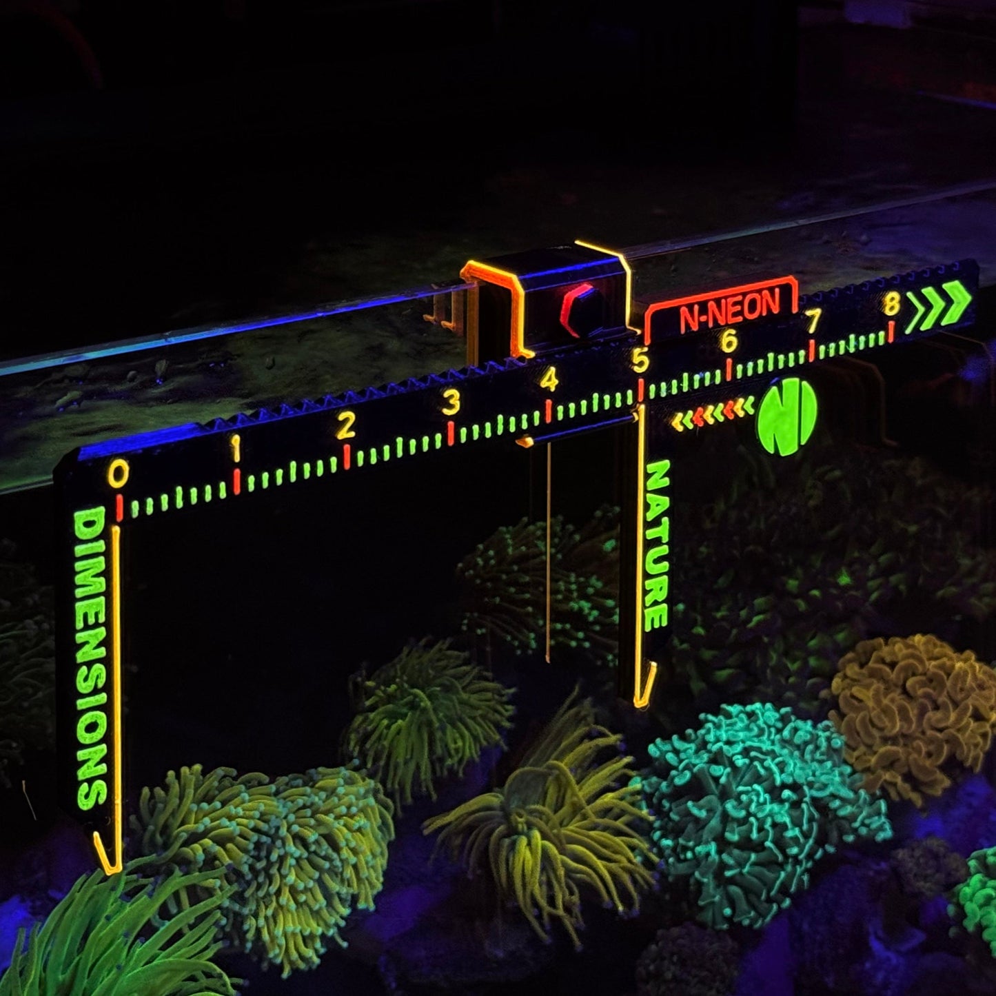 N-Neon Fluorescent Coral & Fish Caliper
