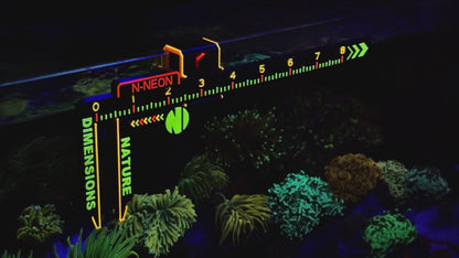 N-Neon Fluorescent Coral & Fish Caliper